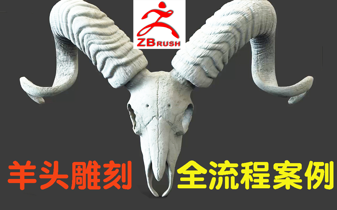 Zbrush写实动物雕刻:羊头模型雕刻全流程,头角保姆式教学,次时代高模精雕,B站最详细的雕刻流程哔哩哔哩bilibili