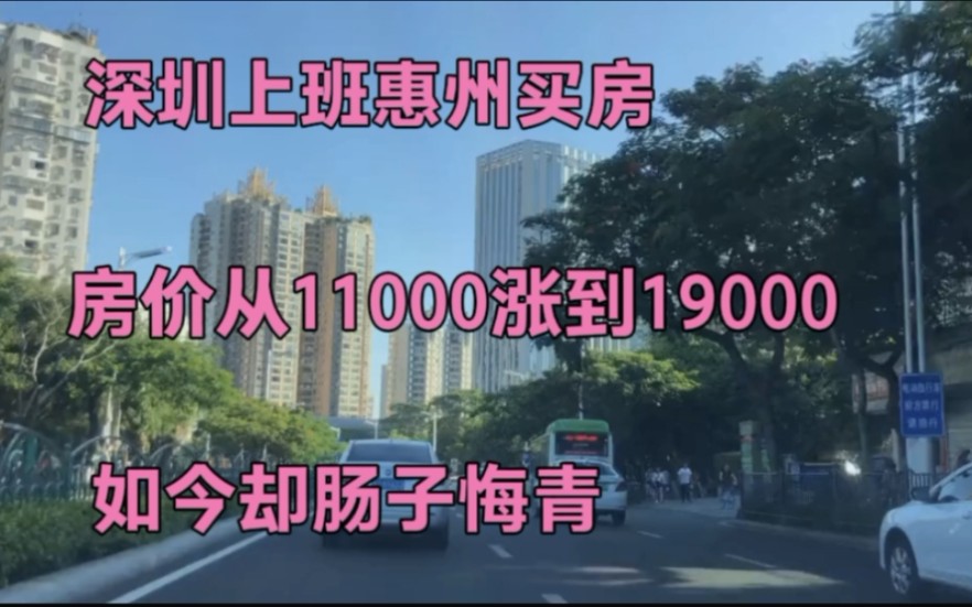 16年深漂到东莞买房,房价从11000涨到19000,如今却肠子悔青!哔哩哔哩bilibili