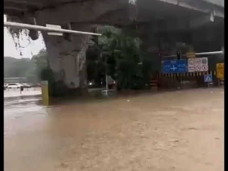 8月21日,广州因暴雨引发严重内涝,至少造成两人触电死亡.哔哩哔哩bilibili