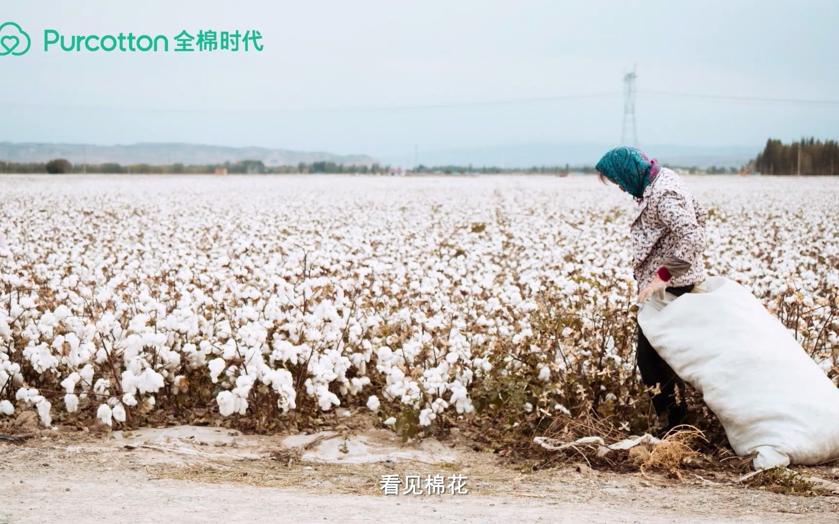 全棉时代追寻生命之光探索棉花多彩的生命力