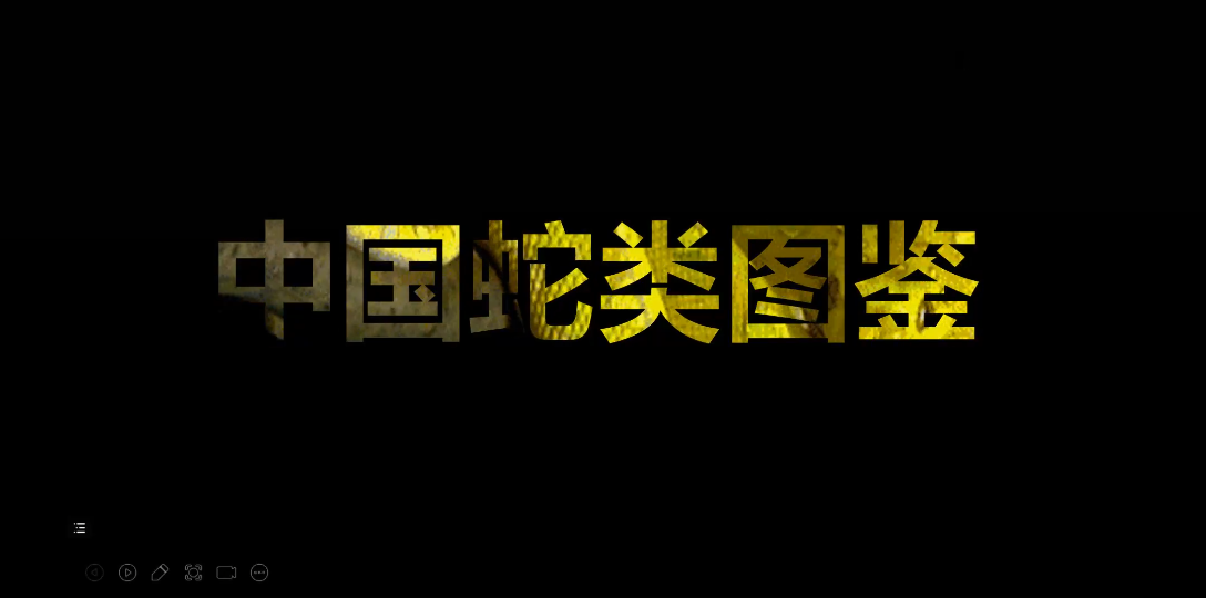 【蛇类】蛇恐慎入中国蛇类图鉴修改版沉浸式ppt录屏 详情见简介见简介!!! | 两爬哔哩哔哩bilibili