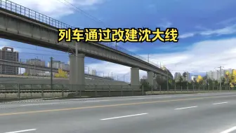 TRS19 下行列车通过改建沈大线