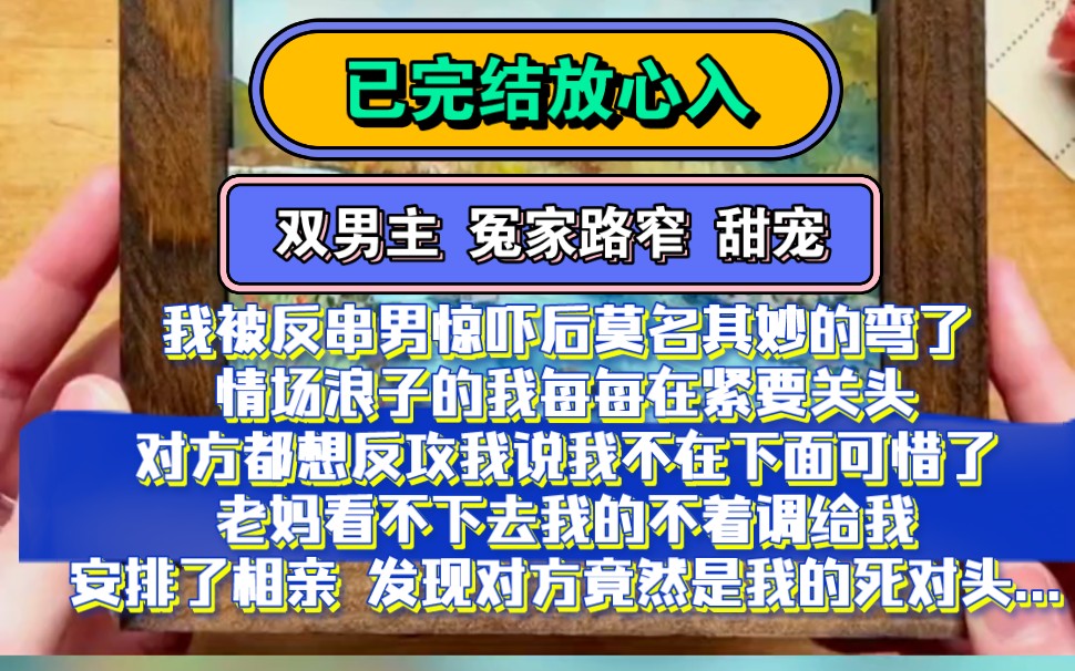 [图]《婚配爱情》双男主 欢喜冤家 甜宠 |被反串男惊吓后莫名其妙的弯了，从此踏上情场浪子的不归路，可偏偏外貌限制了我，谁都想反攻我，我可是励志成为大总攻的男人！！！