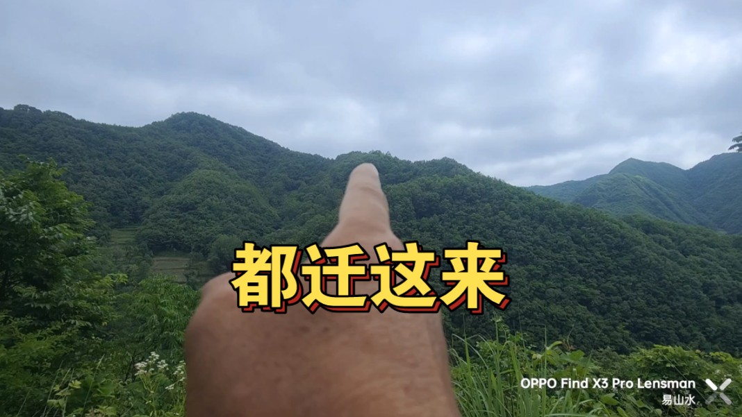 安康大山里的一家,问题出在哪?哔哩哔哩bilibili