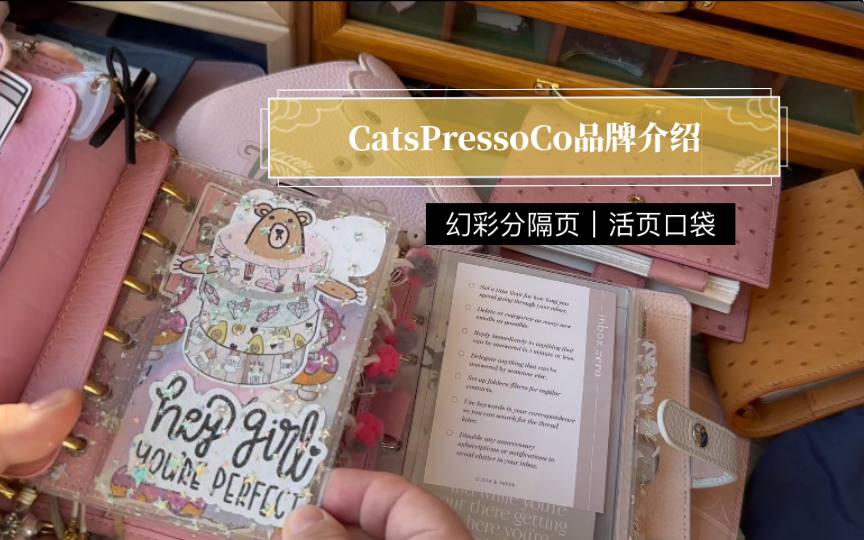 【INS品牌介绍】CatsPressoCo小乖家全品展示和用法分享(下篇)活页口袋|幻彩分隔页哔哩哔哩bilibili