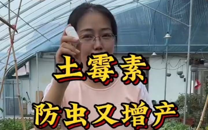 [图]土霉素蔬菜种植大妙用