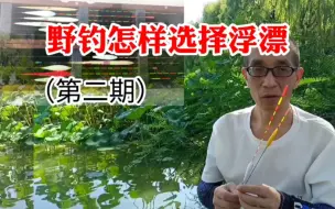 Скачать видео: 野钓浮漂选择（第二期）浮漂的自身语言