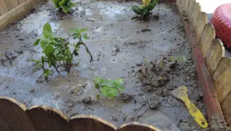 Diy 如何制作简易的木制花坛 哔哩哔哩 Bilibili