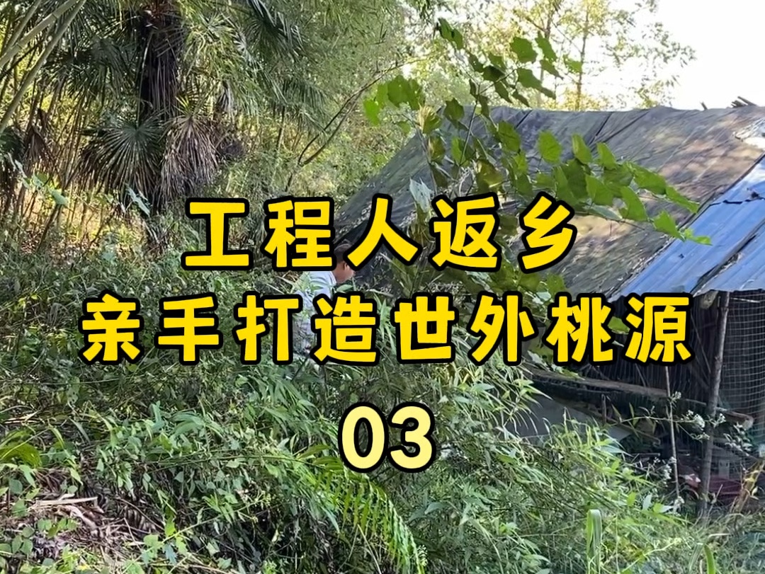 10年工程人,告别内卷,带着一身疲惫回到农村亲手打造世外桃源,今天改造小院南侧的危房部分#旧房改造#老房改造#我的乡村生活#小院改造#亲手打造世...