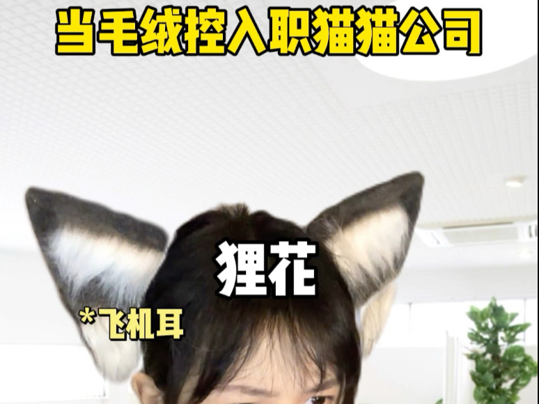 当毛绒控入职猫猫公司 4|邪恶的猫 使钱包空虚哔哩哔哩bilibili