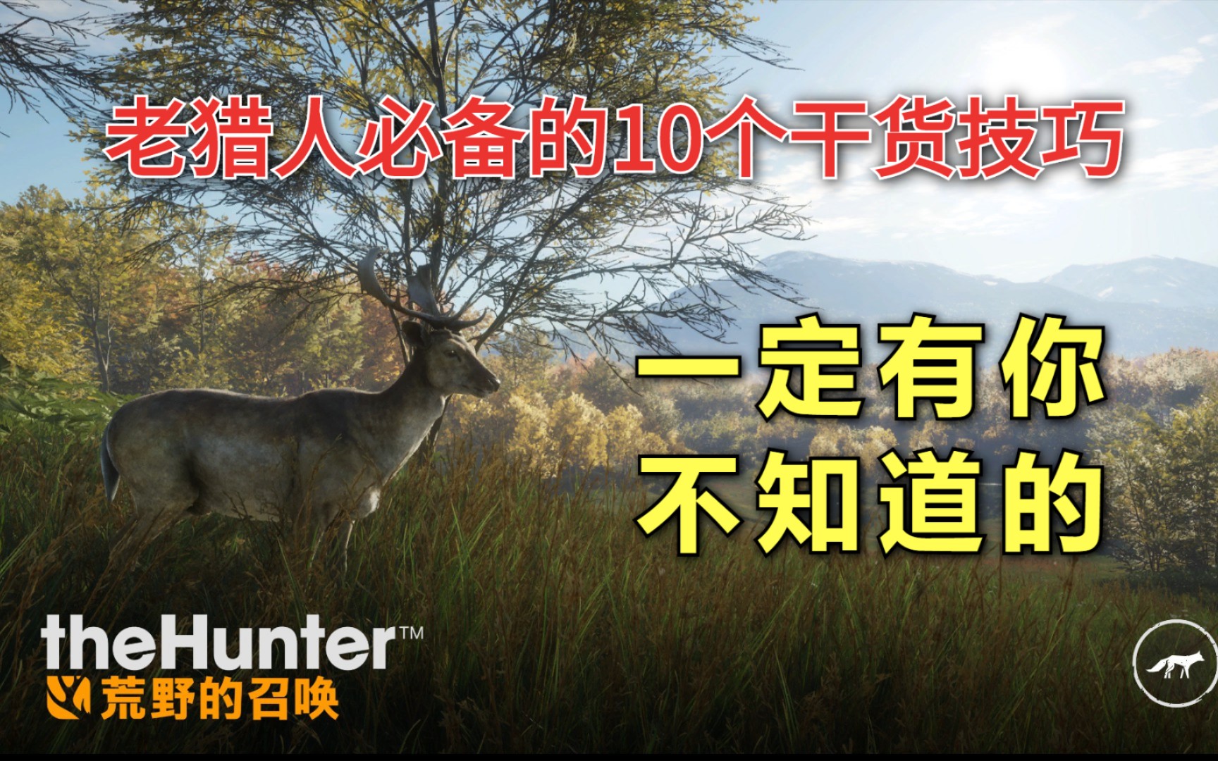 [图]【猎人：荒野的召唤】你可能不知道但成为老猎人必备的10个干货技巧