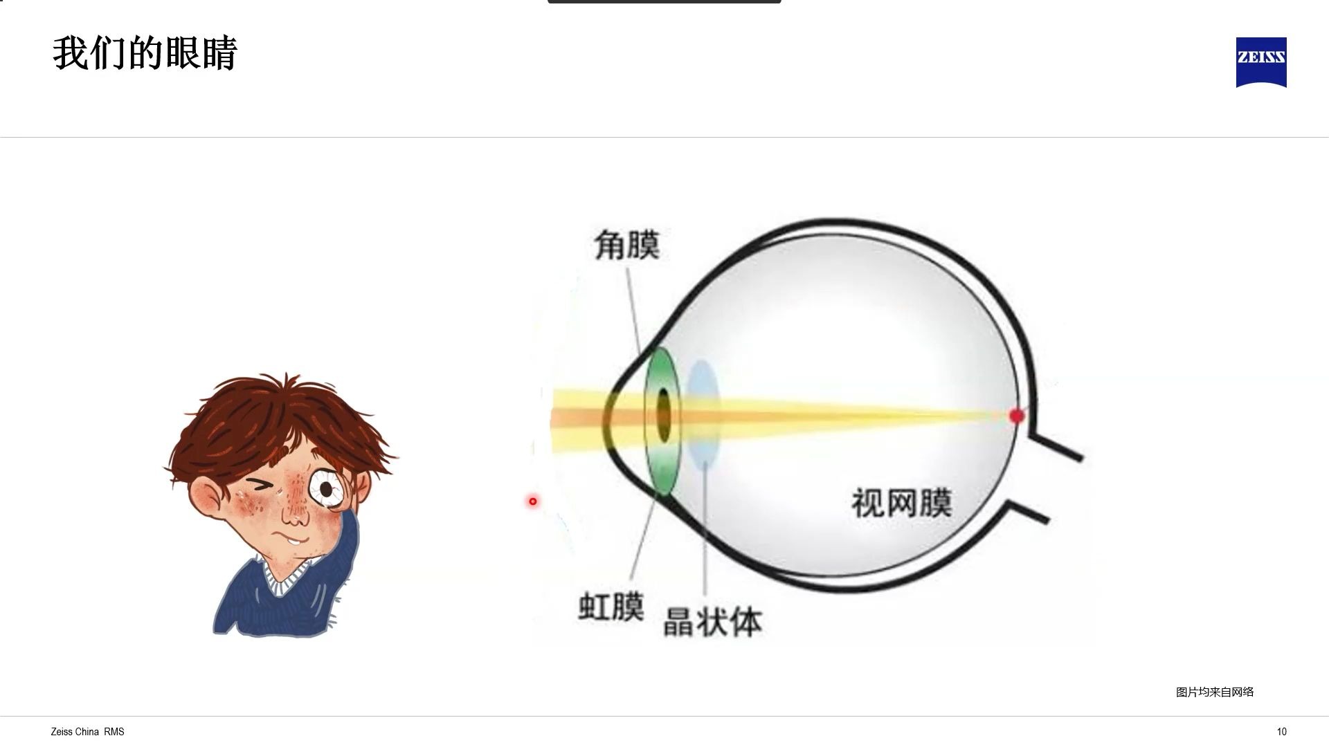 [图]眼睛的显微世界