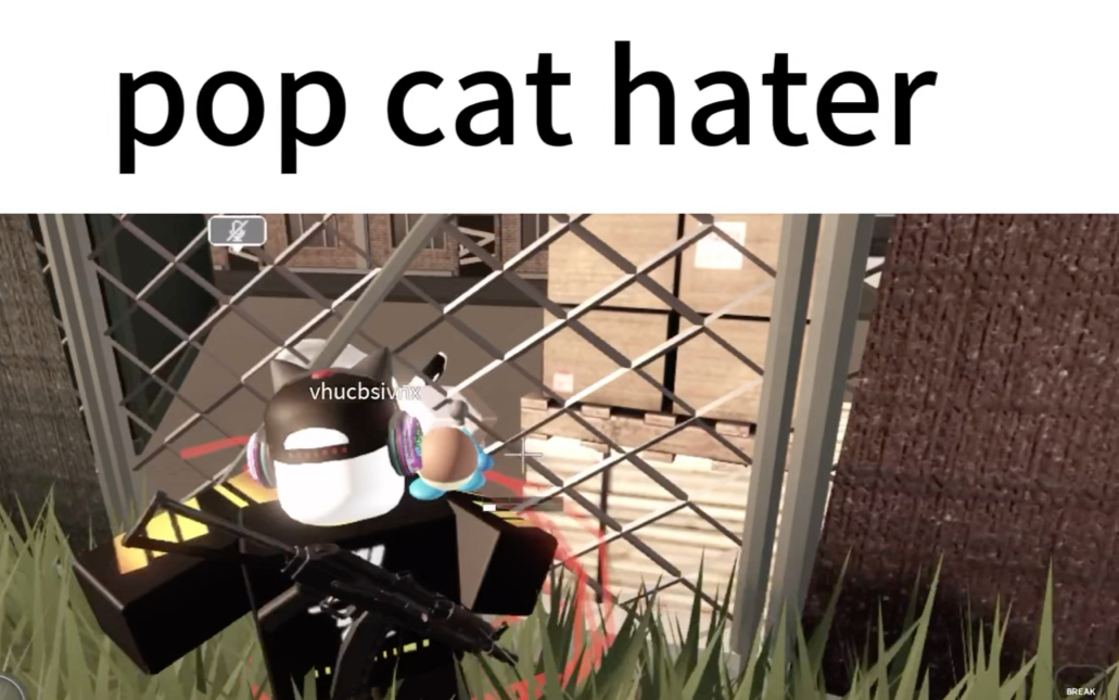 我宣布deng就是一轮椅残障暴怒者