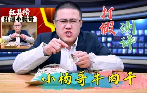 Download Video: 疯狂小杨哥卖的牛肉干是牛肉吗？