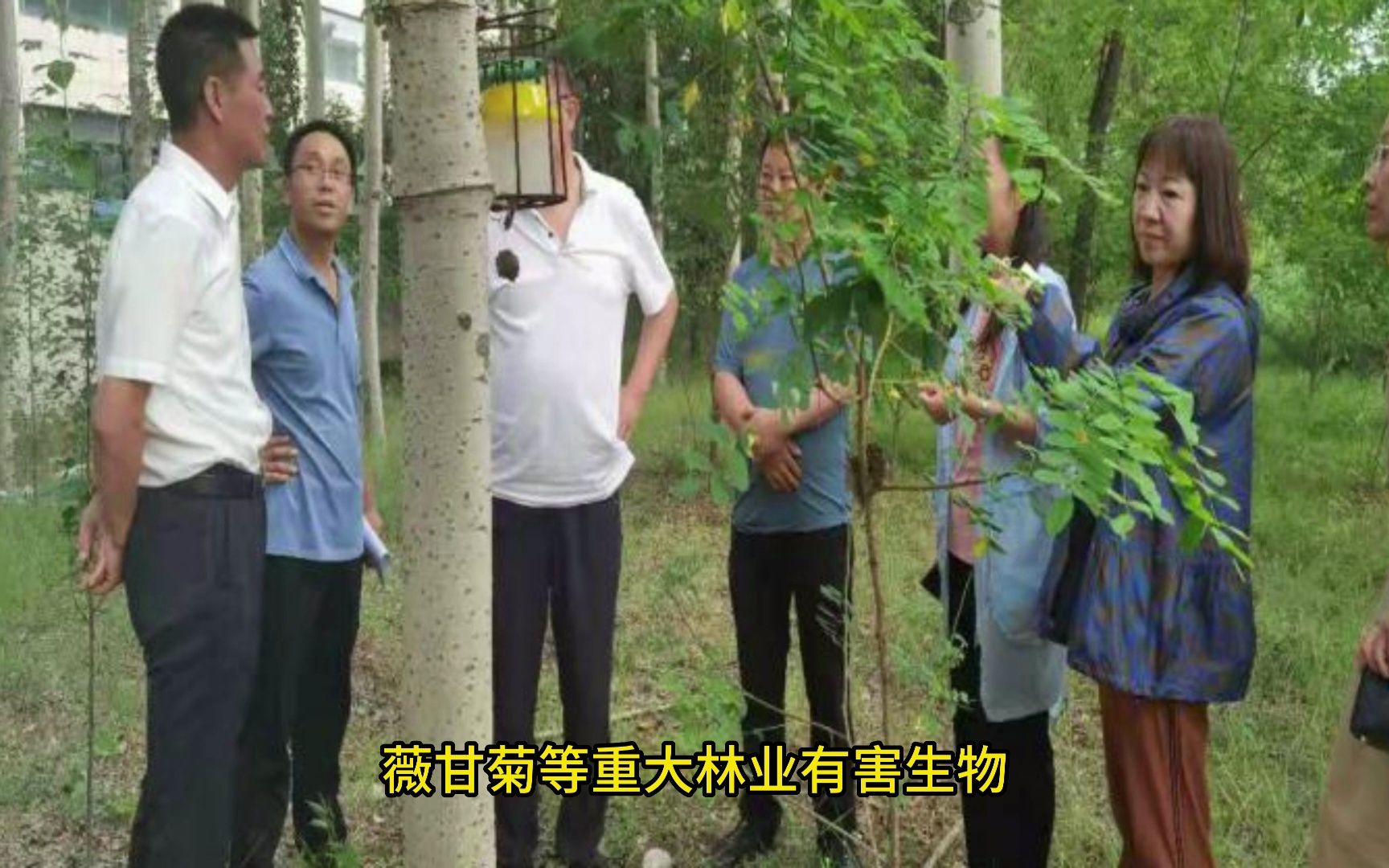 广东肇庆林业有害生物防治组织资质办理指导哔哩哔哩bilibili