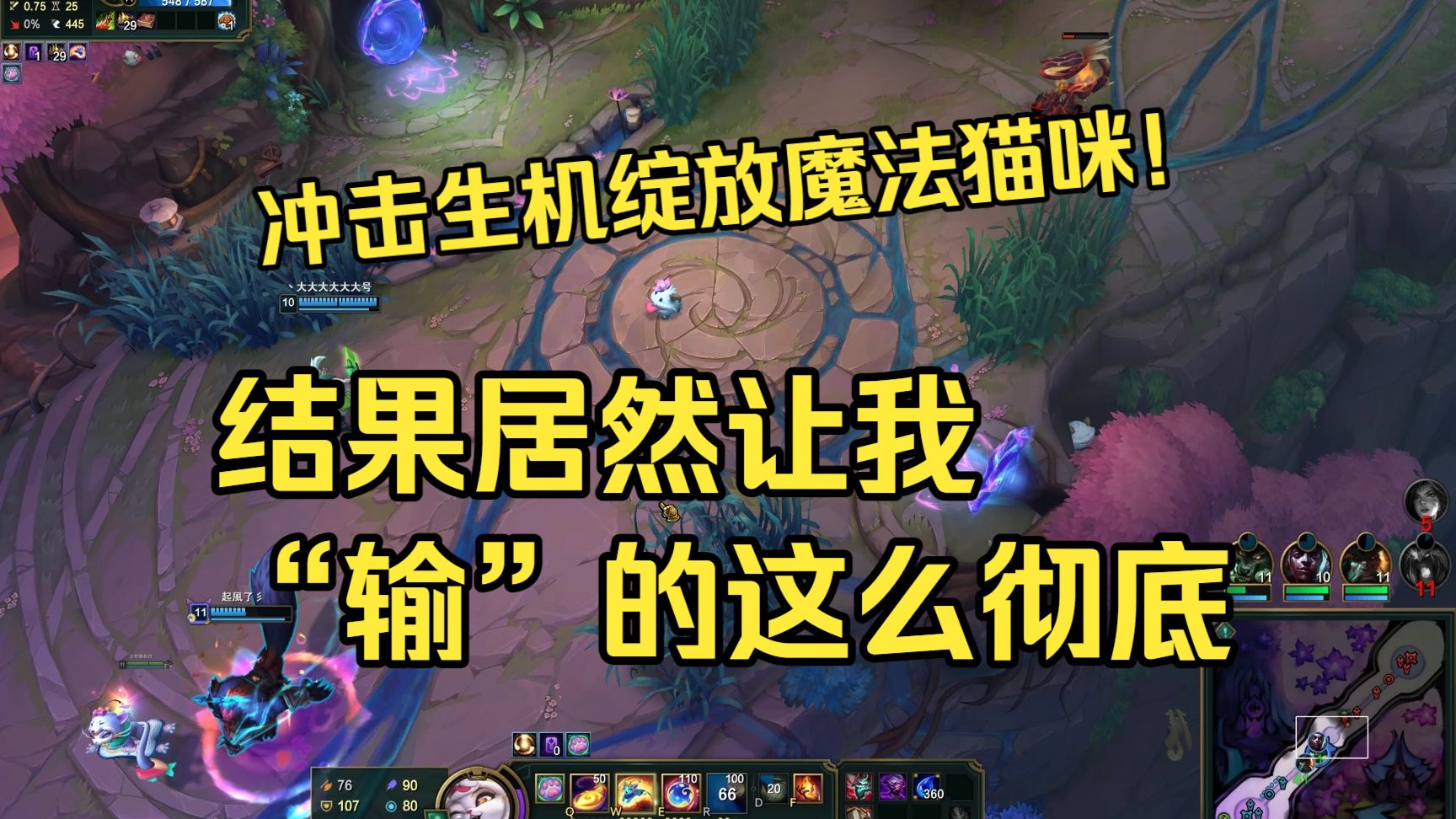 魔法猫咪！来了蛋白粉结果没来生机绽放！ 2026.10.16 - 20.33.31.01