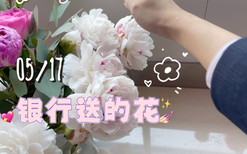 银行新员工的工作日记110芍药花美,同事人好!哔哩哔哩bilibili