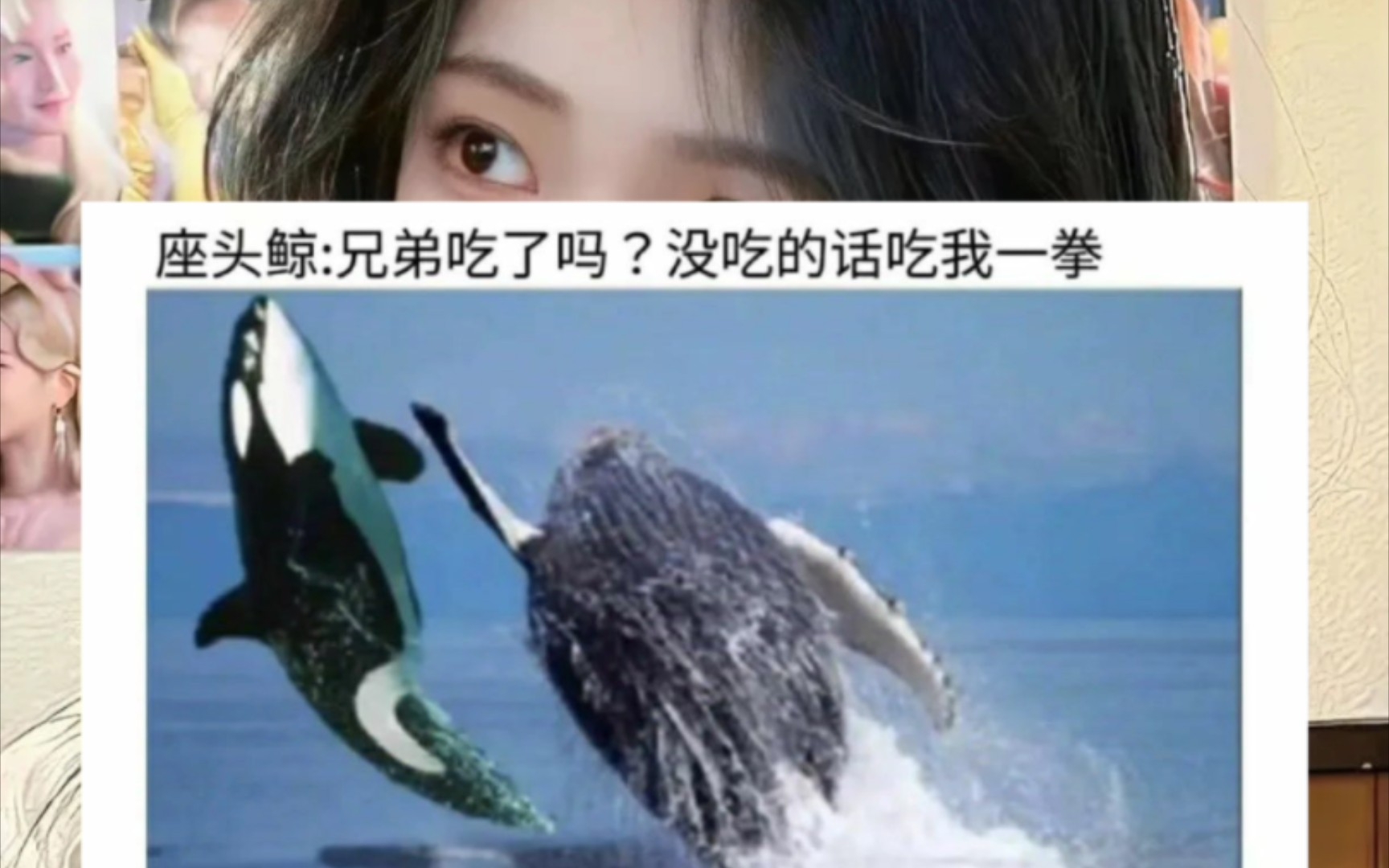 虎鲸你也会有这一天啊.沙雕趣闻30