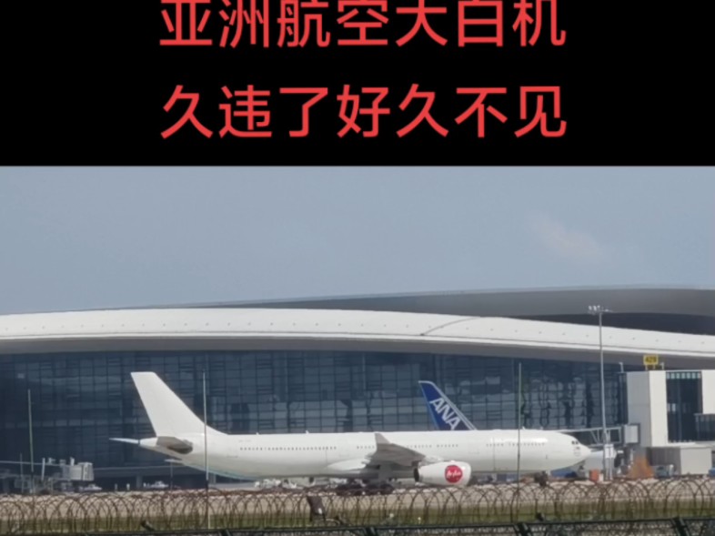 亚洲航空大白机哔哩哔哩bilibili