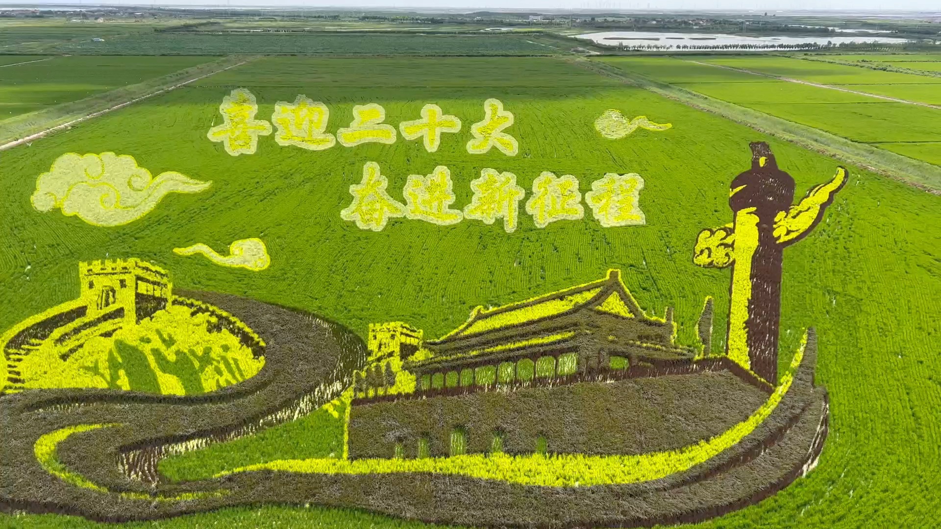 东营垦利永安稻田画