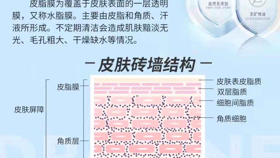 维护皮肤正常的新陈代谢95 促进后期产品充分吸收9099 减少油脂