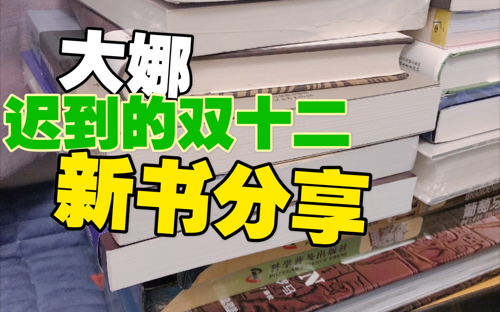 【大娜新书】12月新书分享/迟到的双十二/拼图/哔哩哔哩bilibili