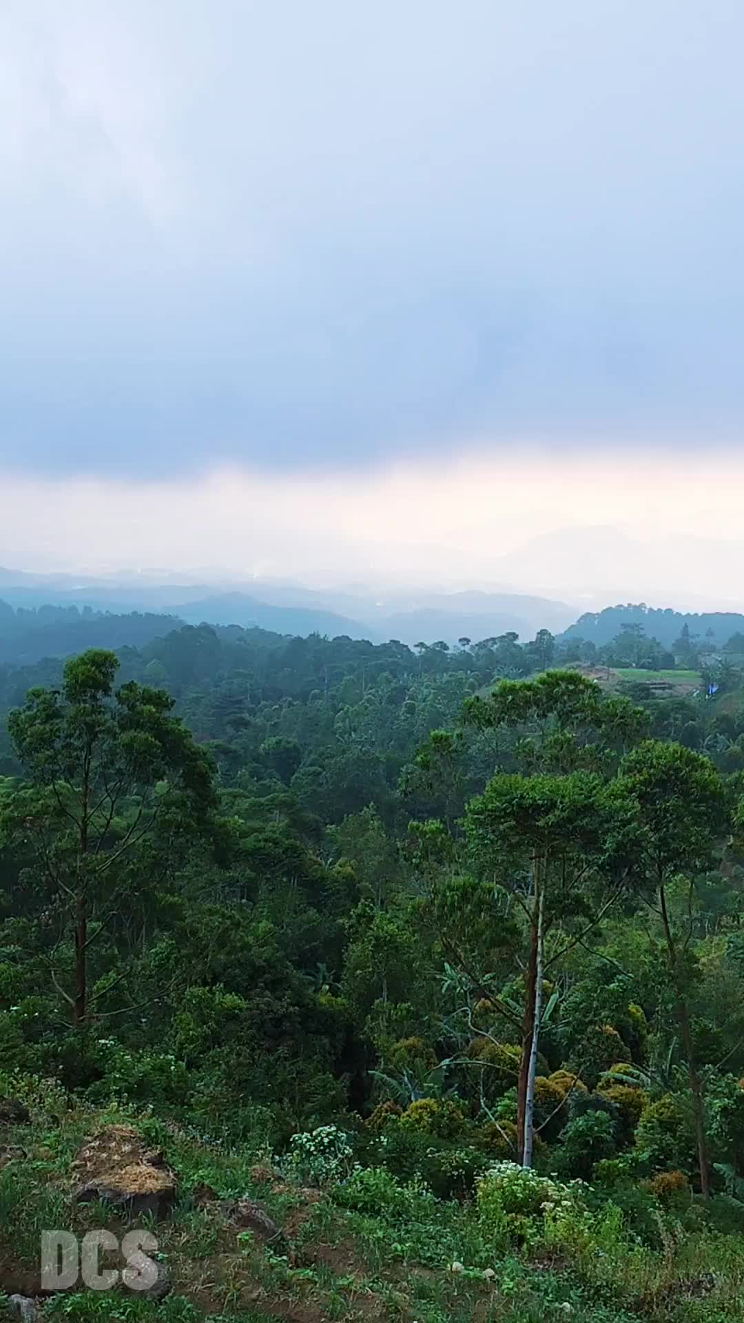 jakarta barat图片