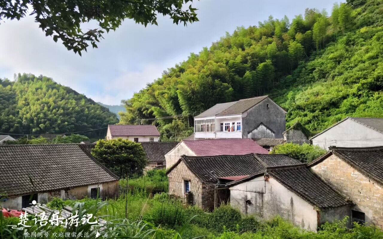 宁波慈溪唯一的高山村?虽不准确却有美丽风景,古道成为徒步胜地哔哩哔哩bilibili