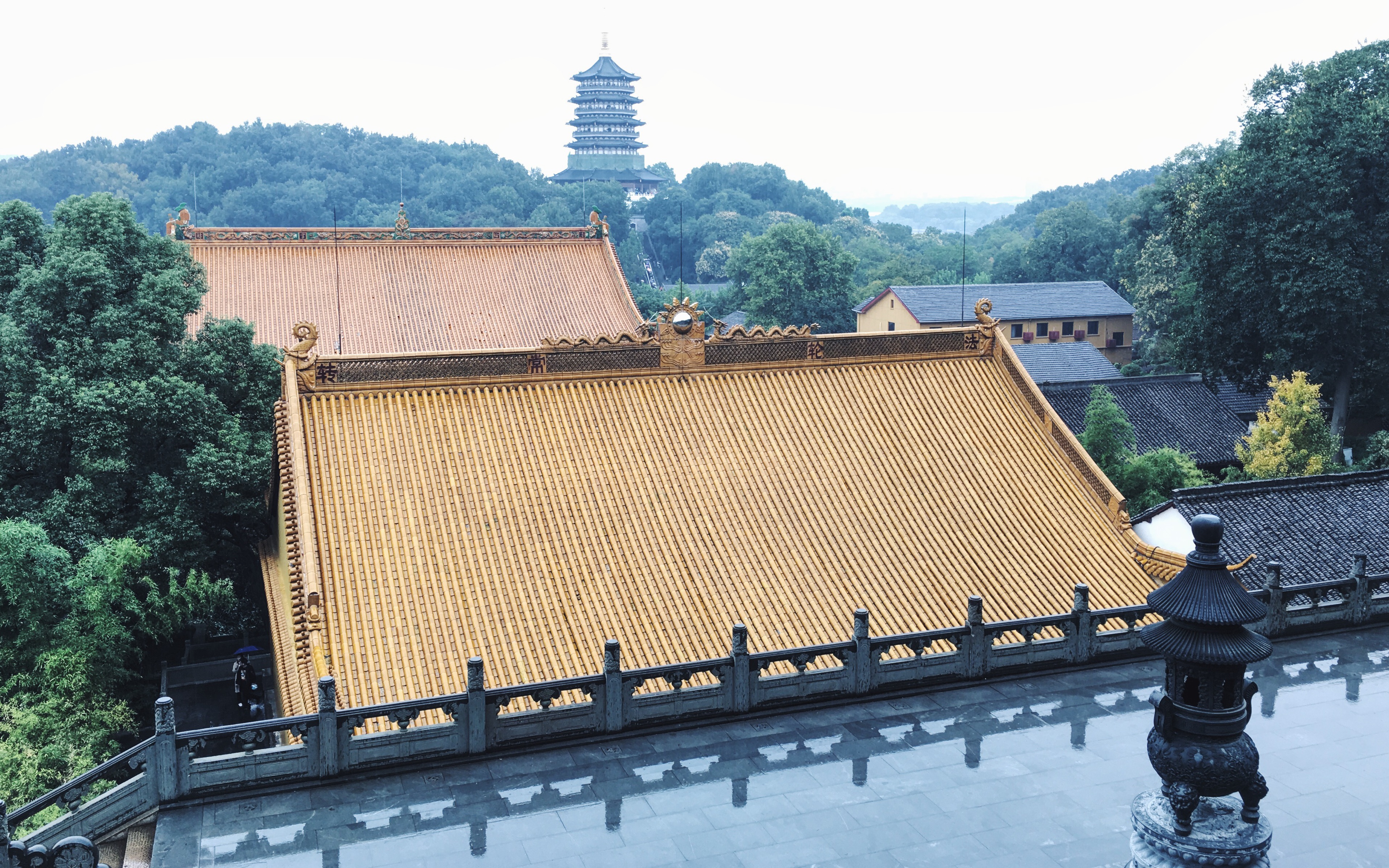 跟我一起来净慈寺看看济公那口井