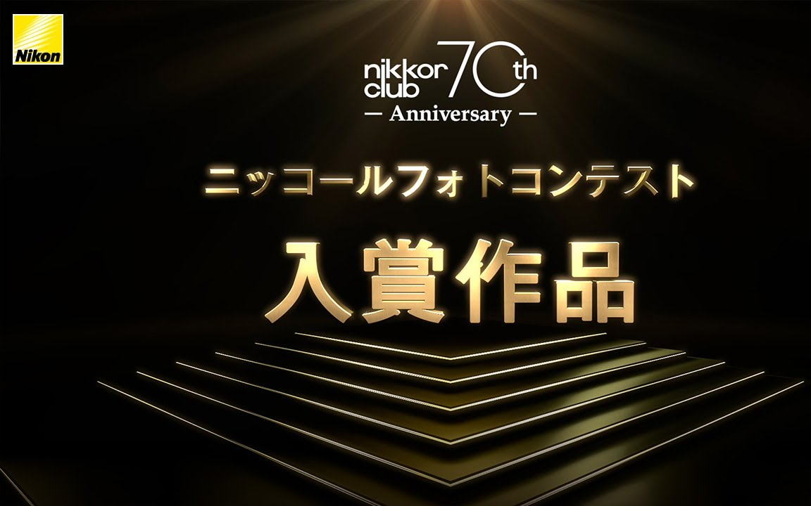 【尼康/没什么好翻】日本尼康第70届尼克尔摄影赛入选作品展示哔哩哔哩bilibili