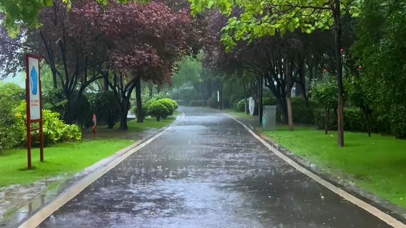 秋的味道写在风里,留在雨里,人生的故事写在四季里,留在光阴里.光阴摇摇晃晃,流失的从来不是时光,而是念念不忘的过往.哔哩哔哩bilibili