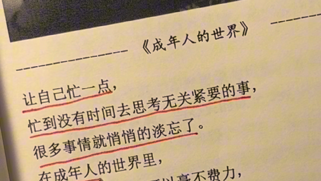 让自己忙一点,忙到没有时间去思考无关紧要的事情,很多事情就悄悄的淡忘了#人生哲理 #金句 #智慧人生哔哩哔哩bilibili