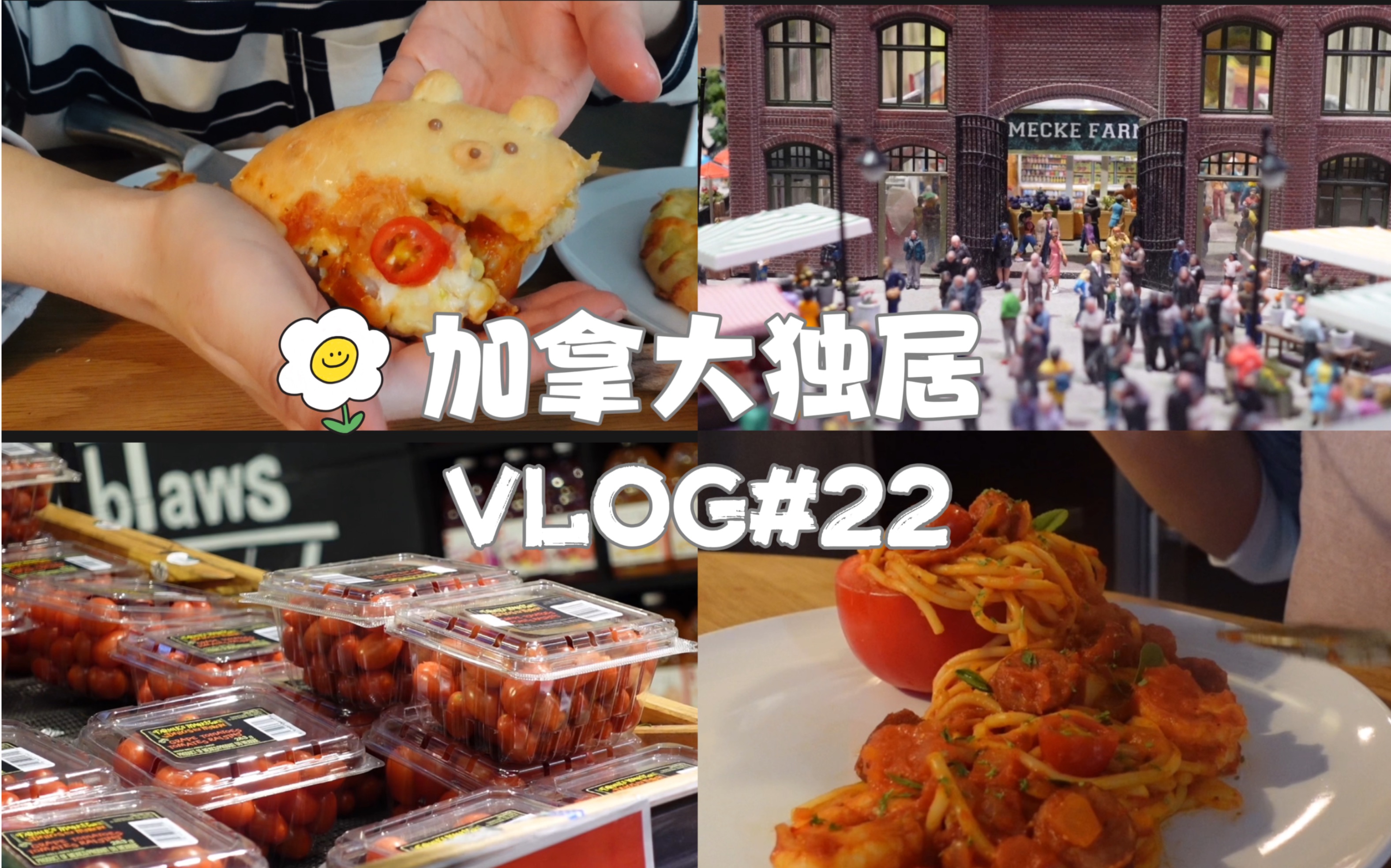 加拿大独居vlog#22|排骨年糕|逛超市新视角|豪华番茄意面|面包店扫货|微型展|阴雨天的湖边|越南菜|可爱小熊披萨|周末大扫除|淘宝转运新衣试穿|哔哩哔哩...