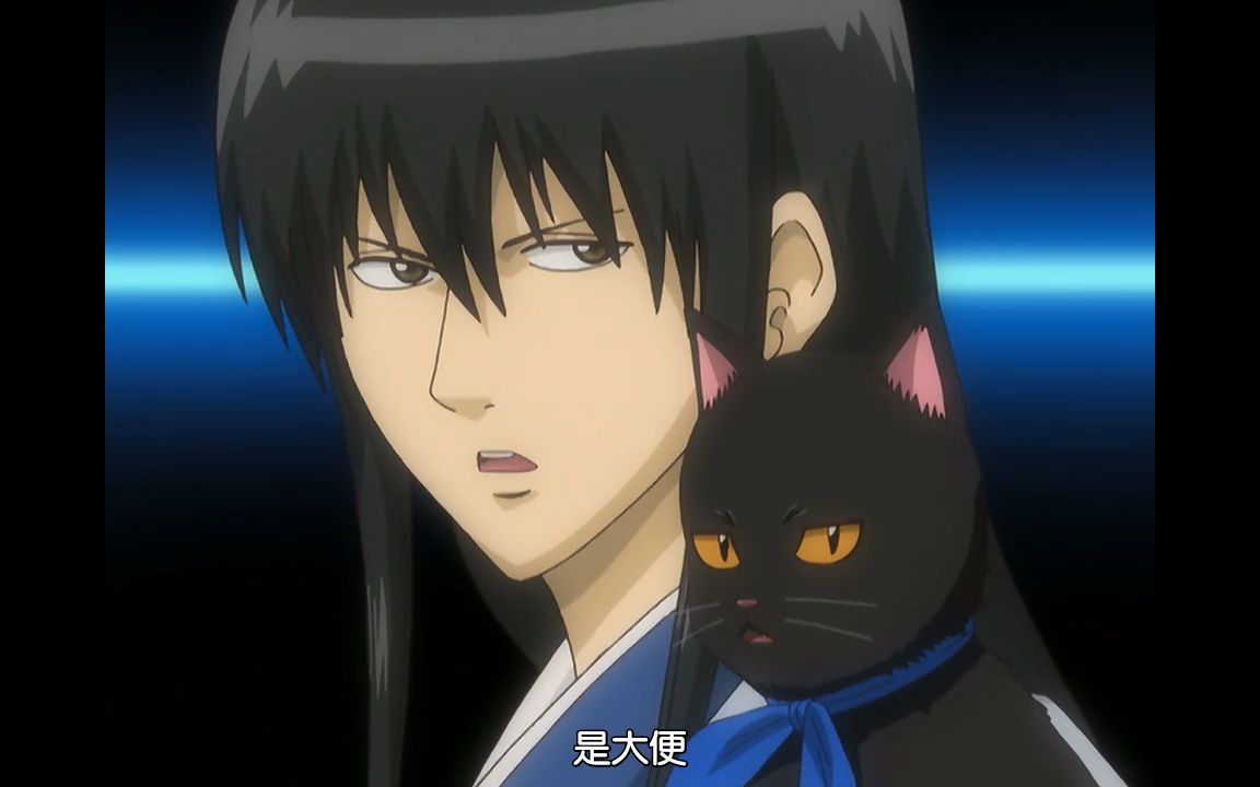 银魂中笑到喷饭的名场面(十七)银时变成猫