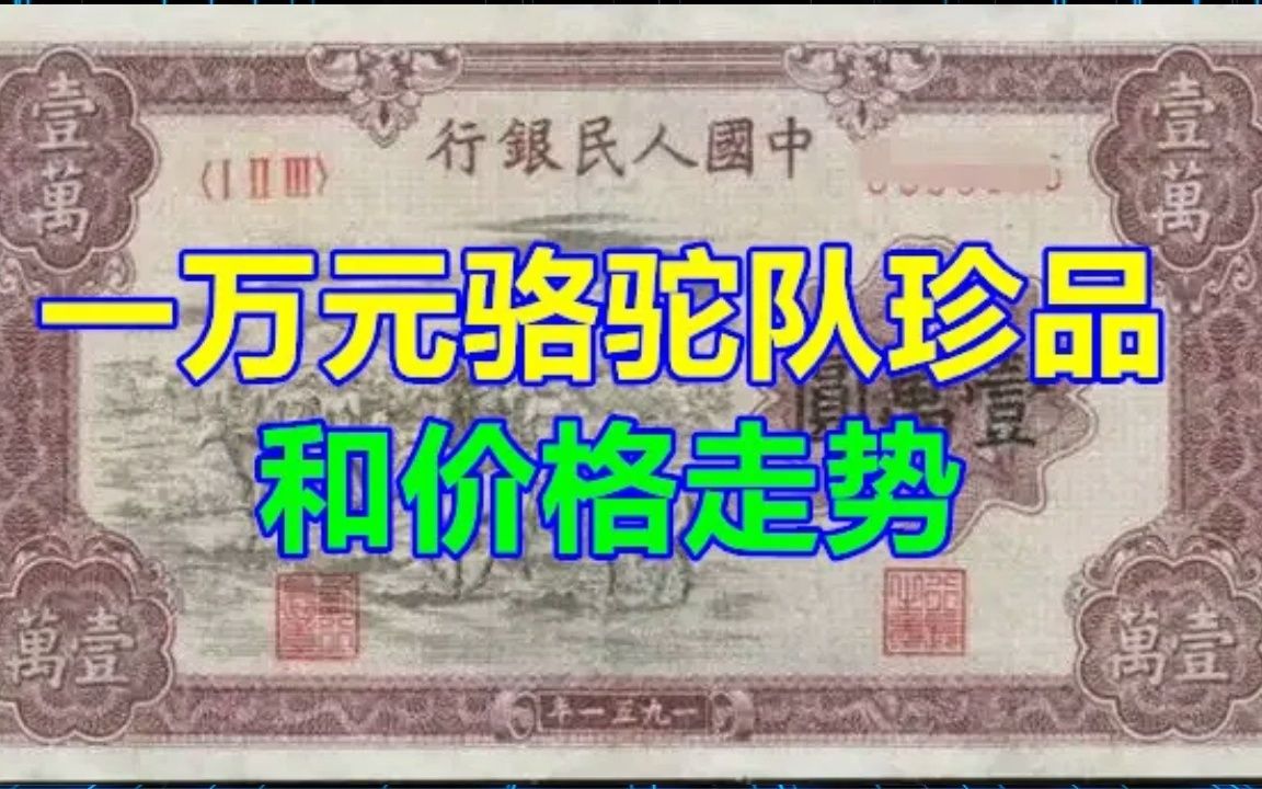 一万元骆驼队珍品和价格走势哔哩哔哩bilibili