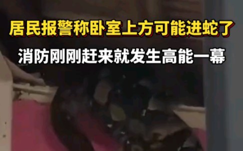 当地时间2月12日,马来西亚一居民报警称卧室上方可能进蛇了,没想到消防刚刚赶来,就发生高能一幕.哔哩哔哩bilibili