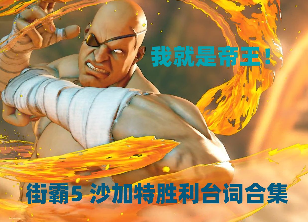 (街霸5勝利臺詞合集)沙加特 老沙 sagat 全勝利臺詞合集.