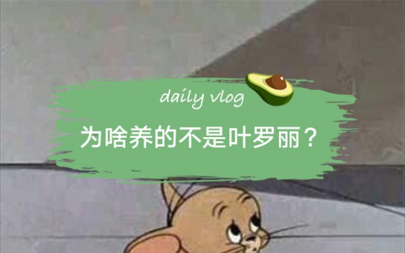 说明一下为什么不养叶罗丽,以及我对一主多娃的看法哔哩哔哩bilibili