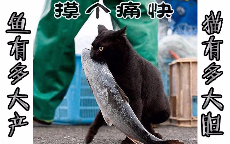 《休むな!8分音符ちゃん(不要停!八分音符酱)》