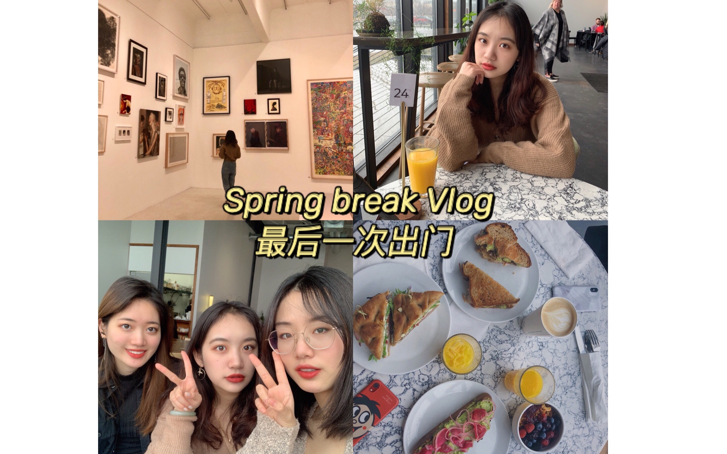 【你们兔】Spring break vlog|美国疫情前的最后一次出门??|留学狗的春假日常|美术馆与brunch哔哩哔哩bilibili