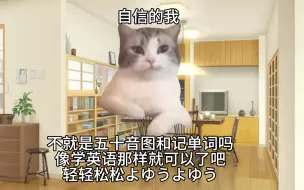 Download Video: 【猫meme】自学过日语n2的故事