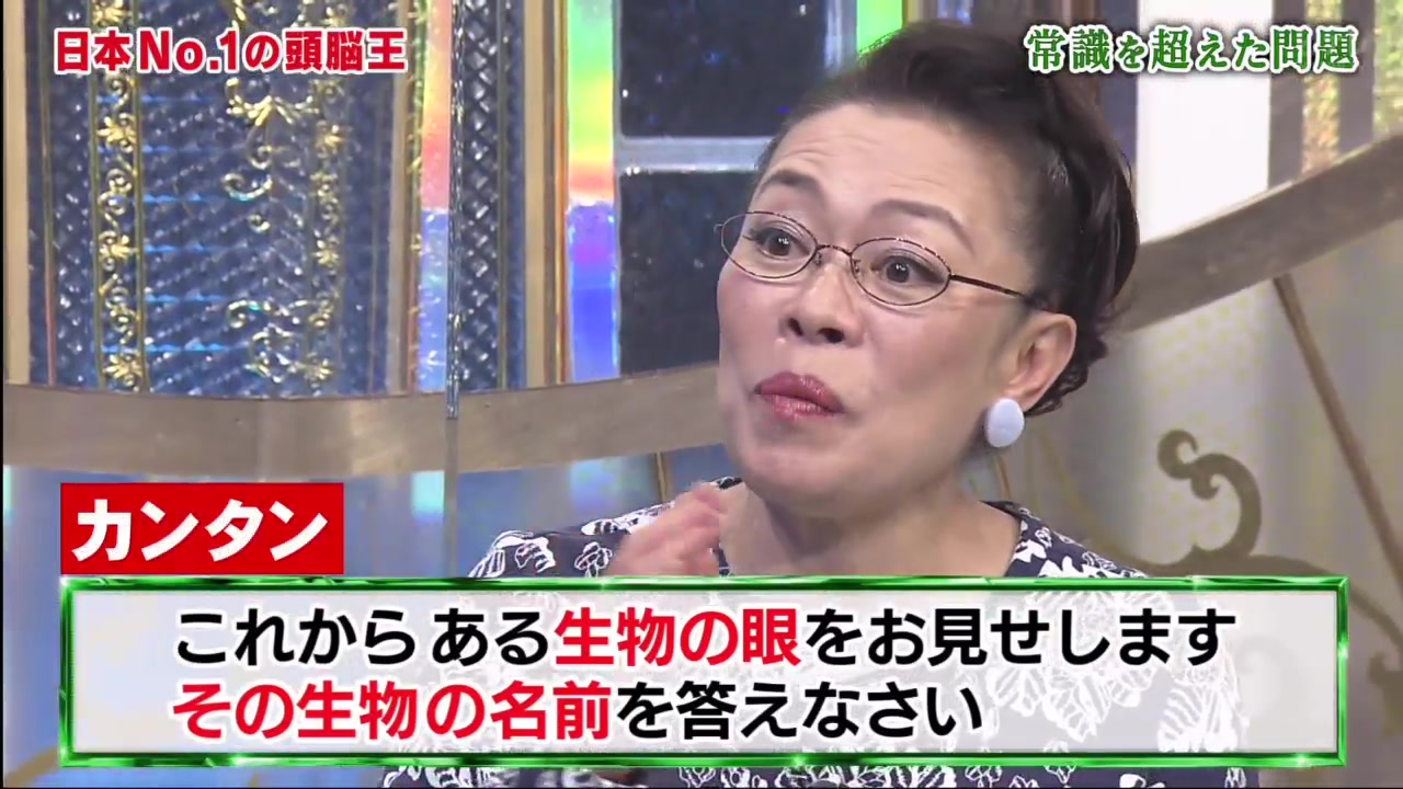 最强头脑日本第一决赛!头脑王2021"2-19