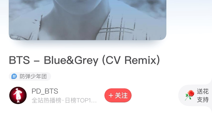 [图]BTS—BLUE&GREY (CV REMIX)