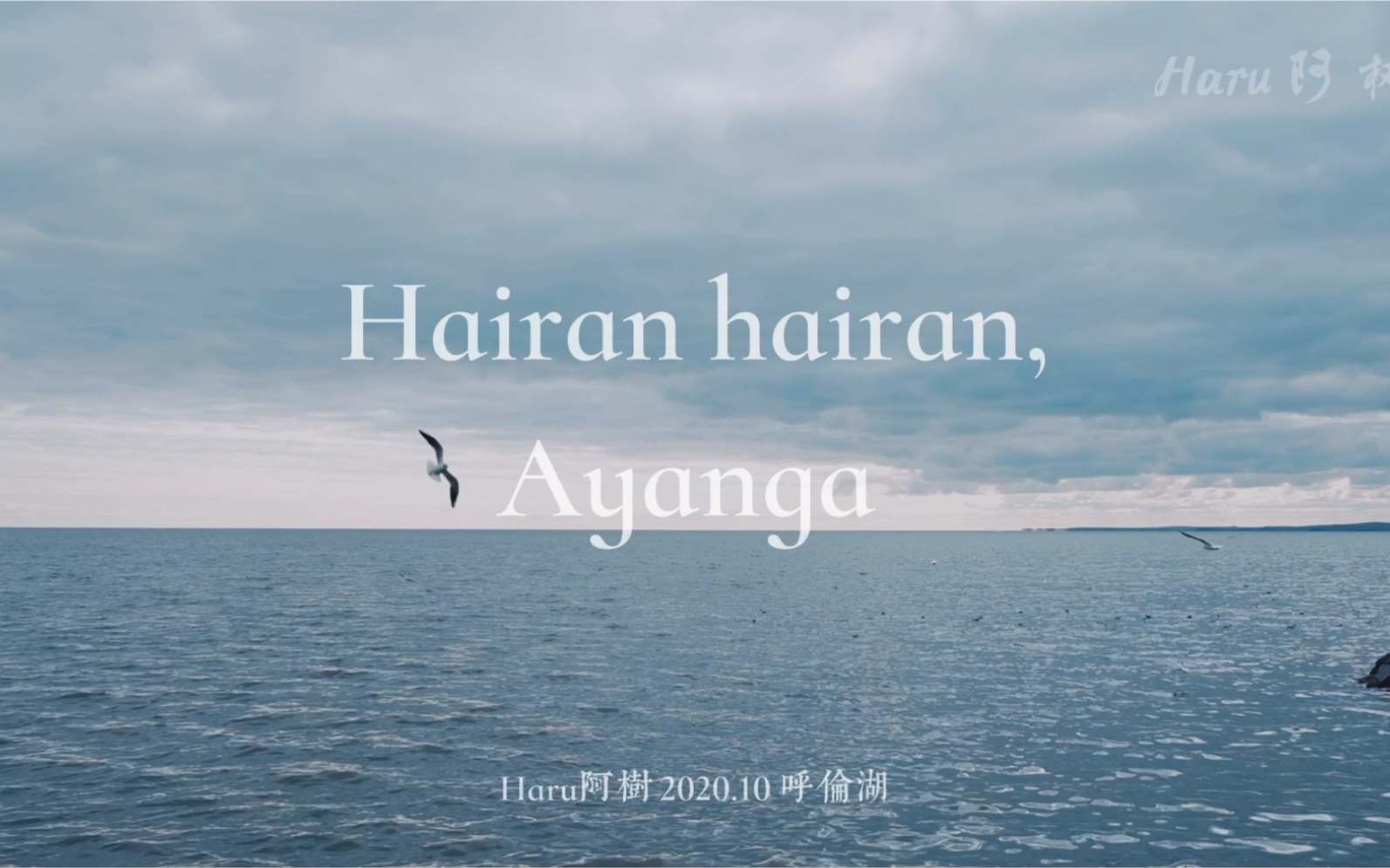 阿云嘎海然海然我的爱人生日快乐不朽的theart封神2020生贺