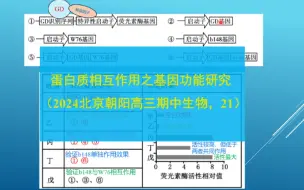 下载视频: 蛋白质相互作用之基因功能研究（2024北京朝阳高三期中生物，21）