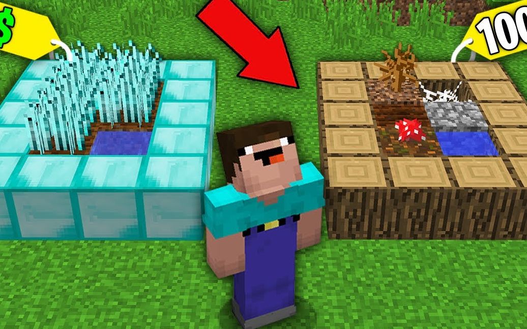 史蒂夫不要一元钻石农场,要十元普通农场,却反而大赚特赚!