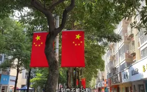 下载视频: 厦门同安乌涂商业街国旗迎风飘扬满满的节日气氛，真好看