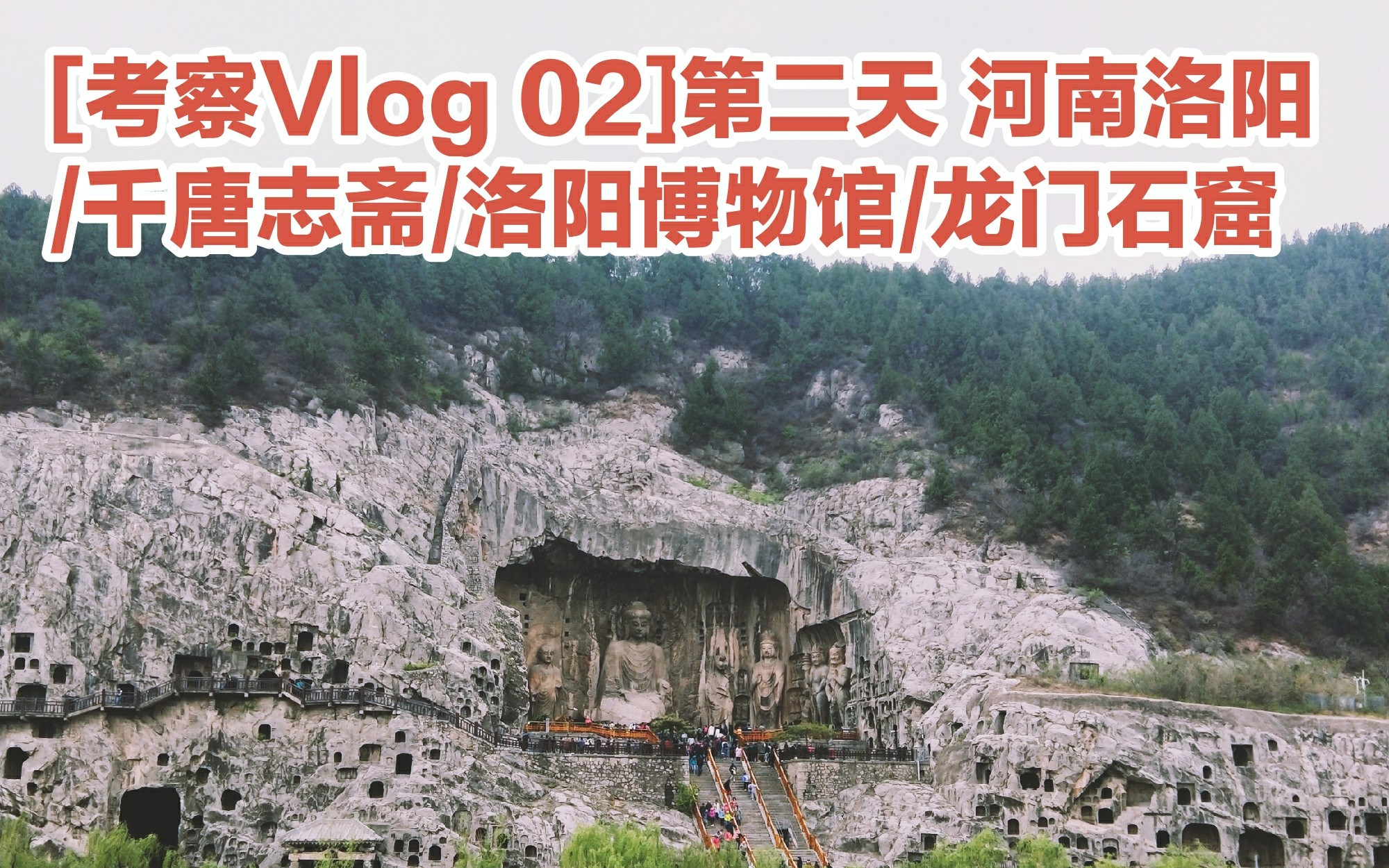 [图][考察Vlog 02]第二天 河南洛阳千唐志斋/洛阳博物馆/龙门石窟 两万步的一天 收获满满