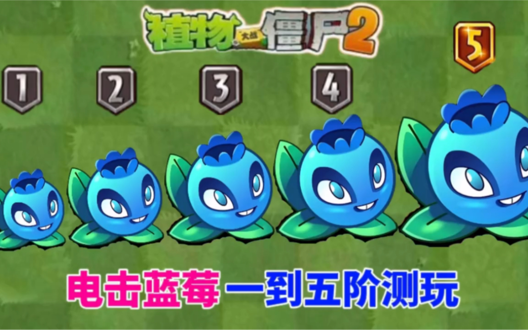 pvz2:盘点电击蓝莓一到五阶测玩,在此提示四阶蓝莓已经可以免费获得了