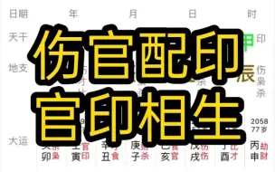 Descargar video: 官印相生，伤官配印，一起配齐